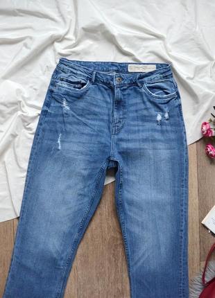 Плотні стрейчеві джинси esmara із дуже високою посадкою,1 фото