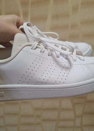 Жіночі кеди adidas advantage base, art ee75103 фото