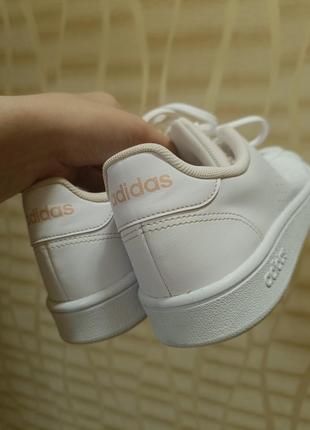 Жіночі кеди adidas advantage base, art ee75104 фото