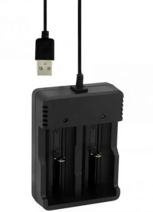 Зарядний пристрій для акумуляторів usb li-ion charger ms-5d82a2 фото