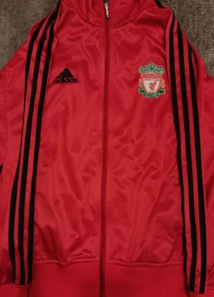 Олимпийка (adidas liverpool)