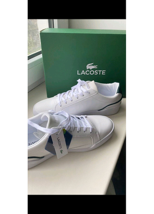 Кросівки lacoste чоловічі