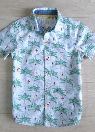 Сорочка stuff wonder 5-6 років.