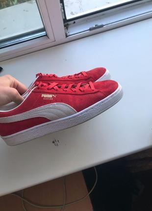 Puma1 фото