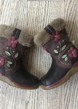 Деми сапожки clarks