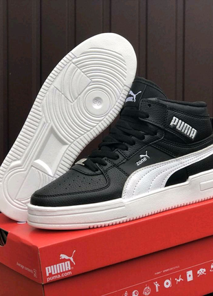 Puma zone