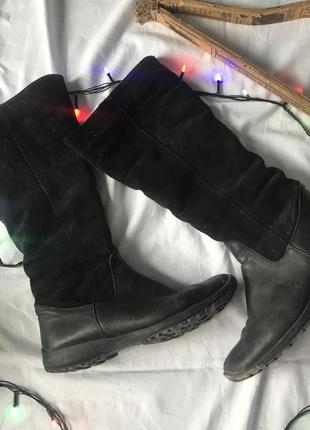 Чобітки замшеві / чоботи