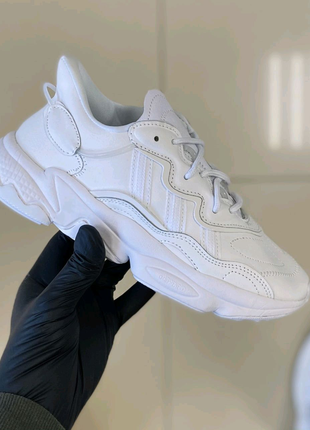 Кросівки adidas ozweego