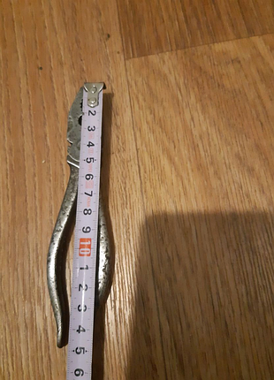 Пласкогубці срср 6