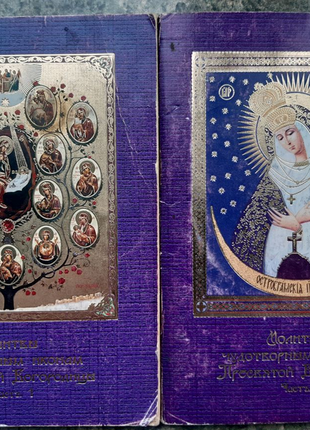Молитвы чудотворным иконам пресвятой богородицы у 2 частинах