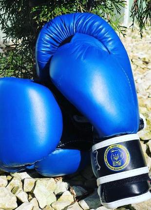 Боксерські рукавиці професійні з печаткою фбу boxer шкіряні profi14 фото
