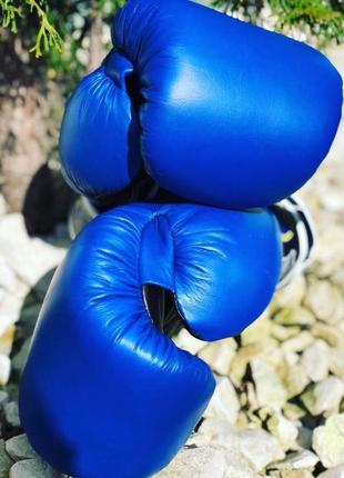 Боксерські рукавиці професійні з печаткою фбу boxer шкіряні profi17 фото
