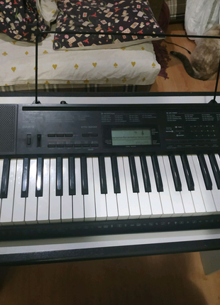 Синтезатор casio ctk-32003 фото