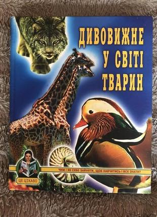 Дивовижне у світі тварин1 фото