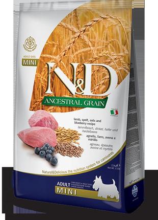 Farmina n&d low grain dog lamb & blueberry adult mini 800 gr