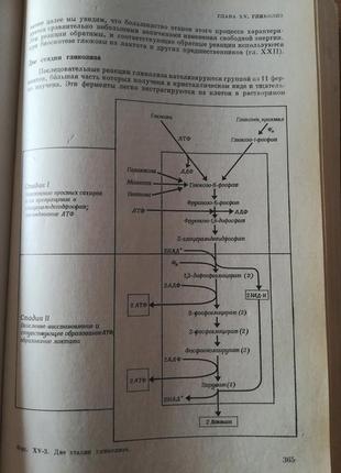 Біохімія. а. ленінджер3 фото