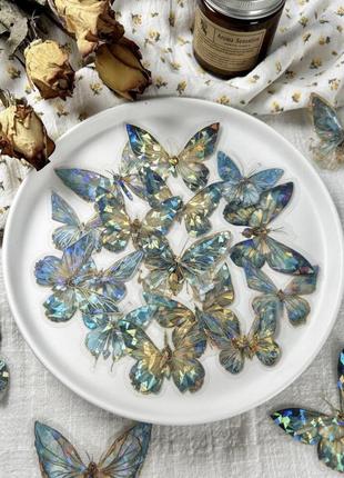 Набір пластикових метеликів для декору
