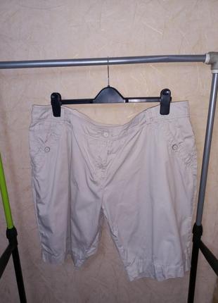 Базовые хлопковые шорты 56 размер