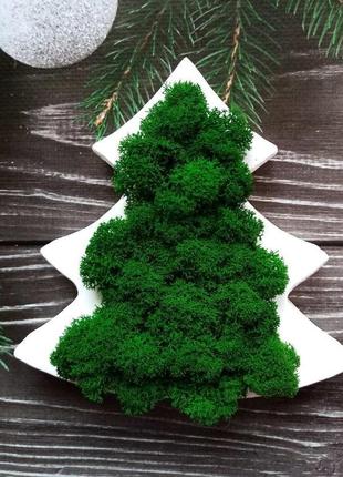 Ялинка з дерева та стабілізованого преміум моху. подарунок на різдво та новий рік5 фото