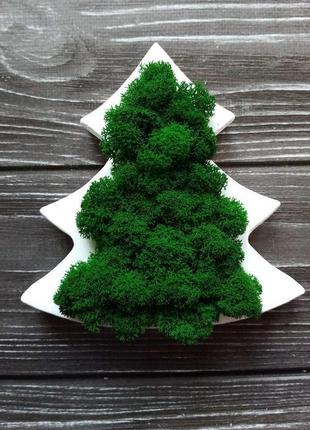 Ялинка з дерева та стабілізованого преміум моху. подарунок на різдво та новий рік2 фото