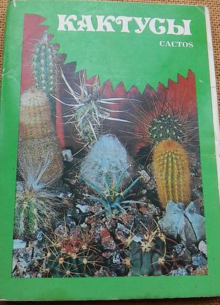Листівки срср кактуси.24 шт в наборі1 фото