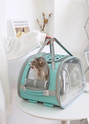 Брак трещина сумка-рюкзак переноска baolujie для домашних животных бирюзовый ( код: iba019gl-1 )6 фото