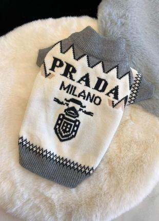 Брендовый свитер для собак prada с логотипом на спинке, серые края с зигзагами, белый