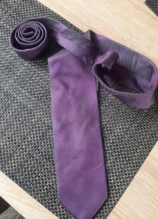 Краватка - хамелеон westbury