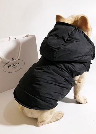 Брендовая зимняя жилетка для собак prada с отстегивающимся капюшоном на кнопках, черная4 фото