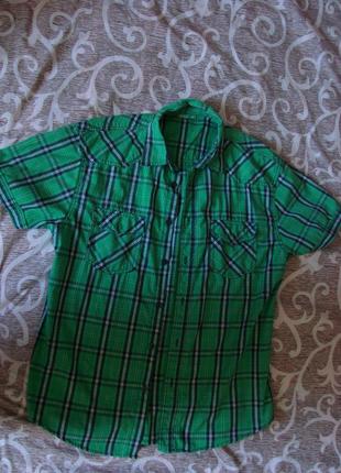 Фірмова сорочка зелена, чоловіча, розмір l (50)