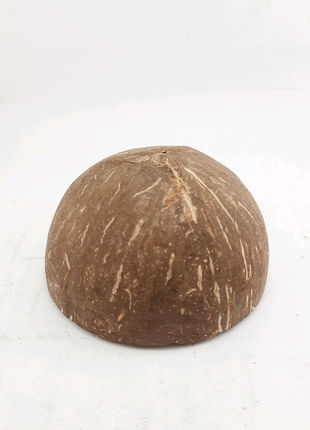 Шкаралупа кокоса3 фото