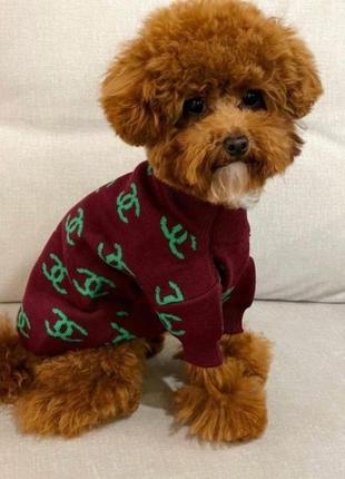 Брендовий светр для собак chanel із зеленими значками, бордовий2 фото