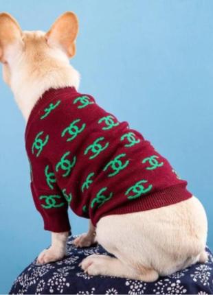 Брендовий свитер для собак chanel с зелеными значками, бордовый5 фото