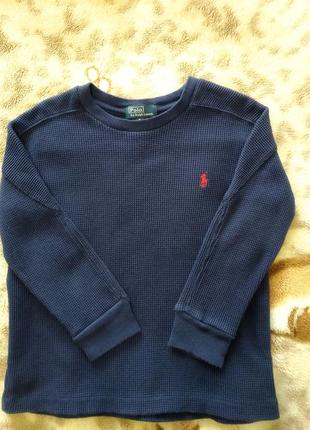 Кофта, реглан polo ralph lauren.