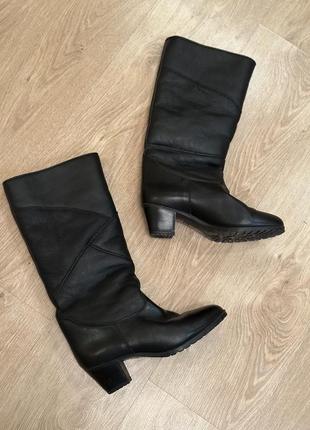 Сапоги женские