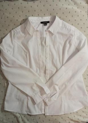 Жіноча блузка біла