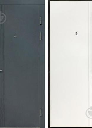 Вхідні двері двері комфорта хайтек 860-960x2050 мм, праві та ліві 104 фото