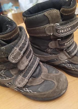 Зимние сапоги (ботинки) geox
