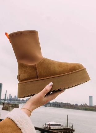 Ugg classic dipper platform в наявності