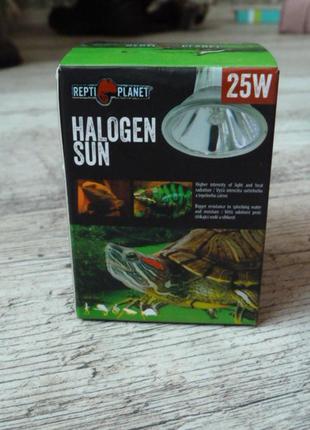 Лампа галогеновая repti planet halogen sun 25w1 фото