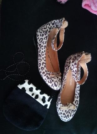 Лодочки гепардові святкові туфельки сумка дівчинці підліткові стильні туфлі леопард сумочкою