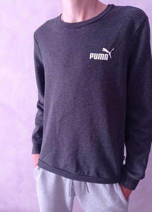 Світшот puma original