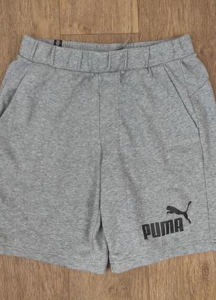 Шорты puma серые спортивные мужские тканевые базовые