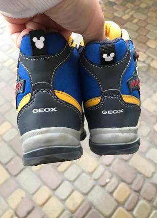 Демисезонные ботинки geox внутри утепленные шерстяная байка состояние новых 21 размер 13,5 см3 фото