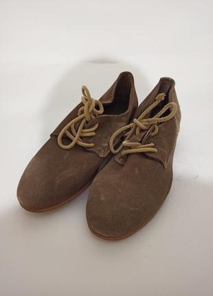 Ботинки blackstone.брендове взуття stock2 фото