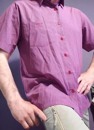 Рубашка в виде шелковой pierre cardin. l