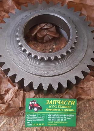 Шестерня кпп т-150к (151.37.303-2) z=37/30 провідна