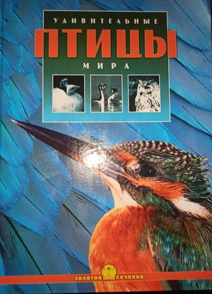 Книга "дивовижні птахи світу"