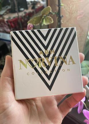 Палетка тіней anastasia beverly hills mini norvina vol. 14 фото