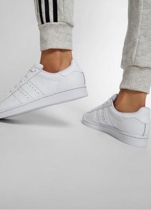 Кросівки adidas superstar j кеди